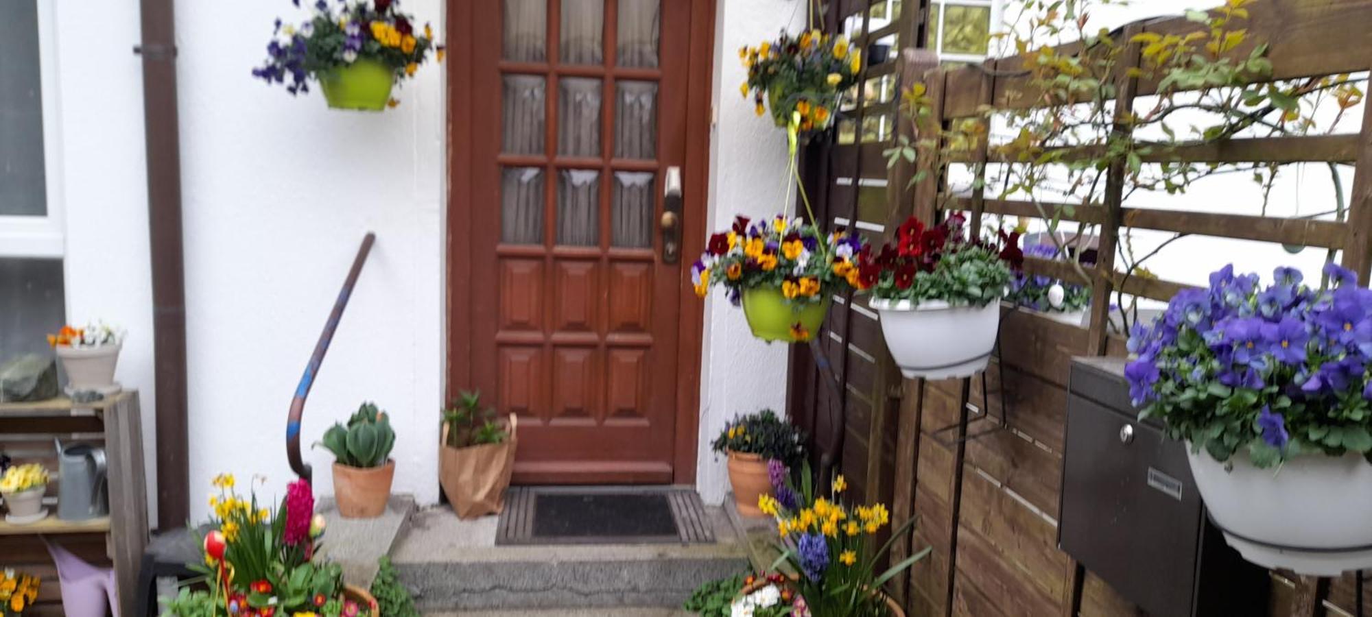 Pension Entenhausen Schwentinental エクステリア 写真